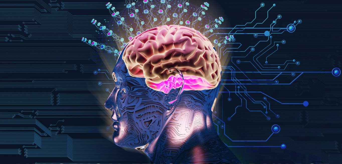Brain Rot: Fenomena Digital Yang Mengancam Kesehatan Mental