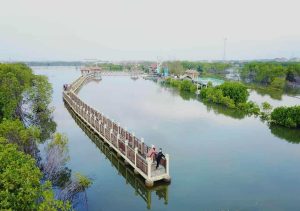 Mangrove Park Pekalongan