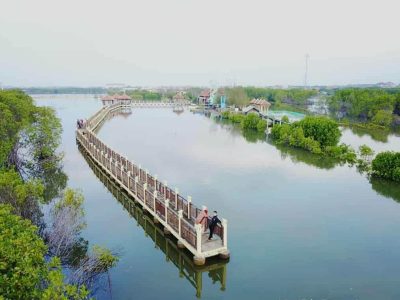 Mangrove Park Pekalongan