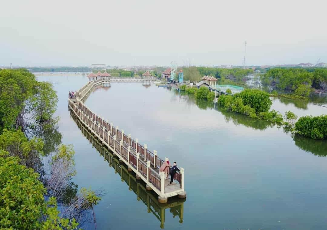 Mangrove Park Pekalongan: Tempat Healing & Peduli Lingkungan