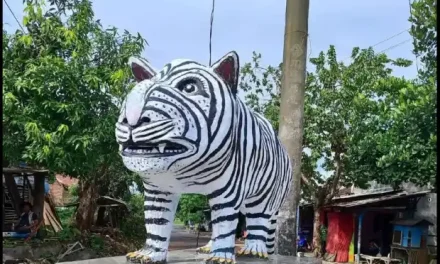 Kades Kediri: Patung Macan Mirip Zebra Dana Pribadi