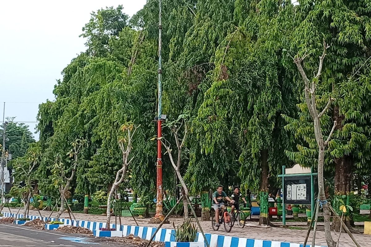 Penanaman Puluhan Pohon Kamboja di Taman Kota Sumenep