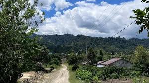 kademisi Universitas Diponegoro Dorong 3 Pilar Transmigrasi