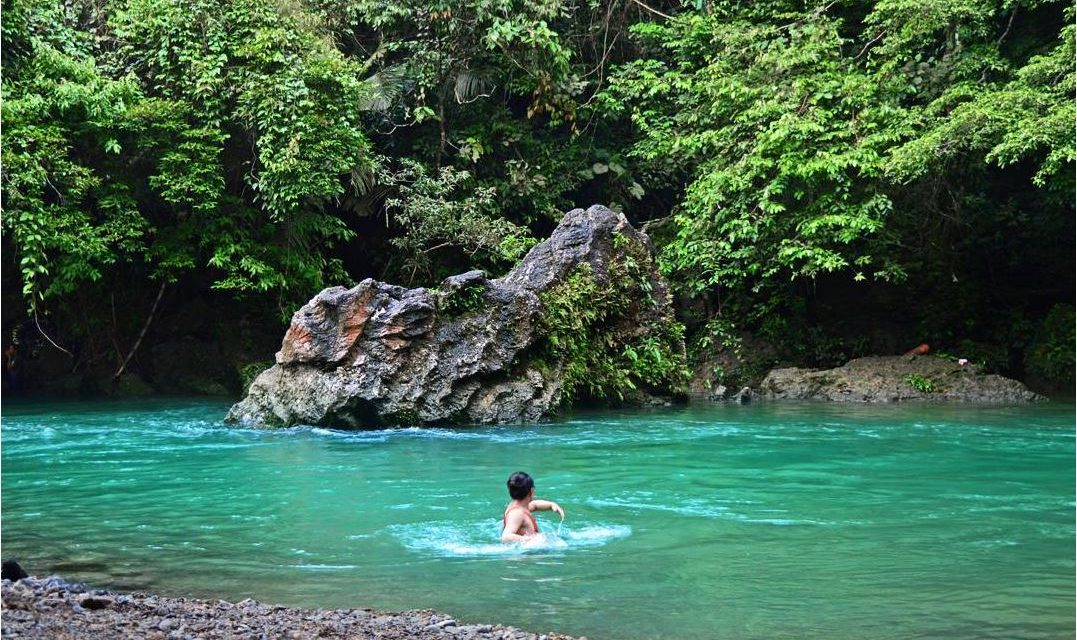 Langkat: Surga Tersembunyi Di Sumut Yang Wajib Di Kunjungi