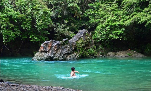 Langkat: Surga Tersembunyi Di Sumut Yang Wajib Di Kunjungi