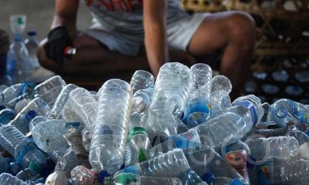 Urusan Plastik: Kenapa Sekarang Waktunya Kita Lebih Peduli?