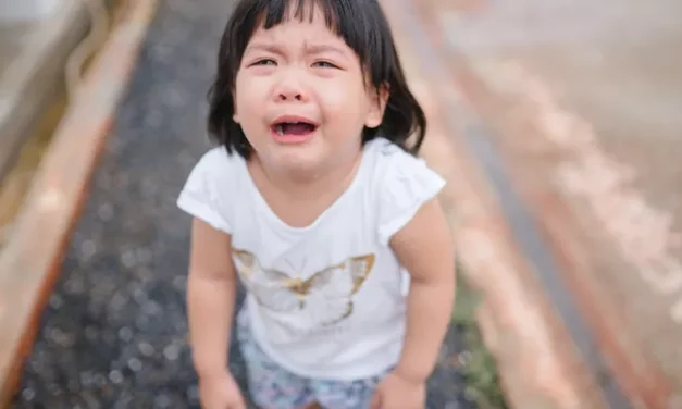 Anti Panik! Trik Jitu Hadapi Anak Tantrum Di Depan Umum