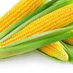 Lampung Mandiri Energi: Ubah Komoditas Lokal Jadi Bioetanol!