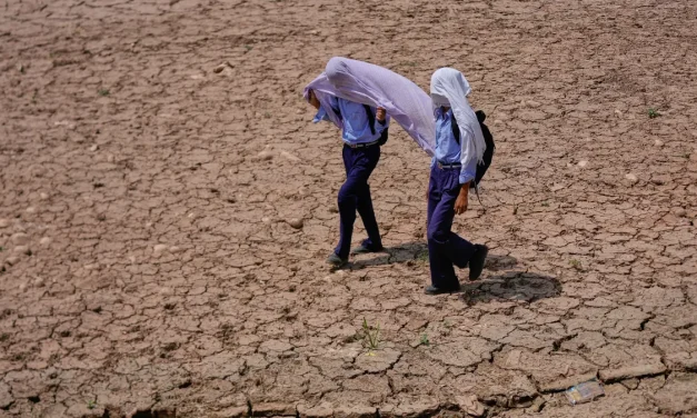 Saat India Harus Bertahan Di Tengah Kepungan Panas Ekstrem