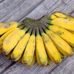 Jenis Pisang Terbaik Buat Pisang Goreng