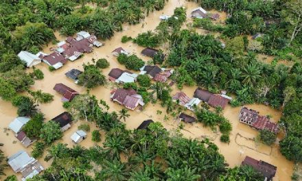 Alarm Merah: Banjir Berulang Bukti Kerusakan Hutan