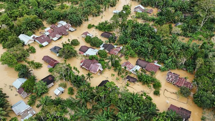 Alarm Merah: Banjir Berulang Bukti Kerusakan Hutan