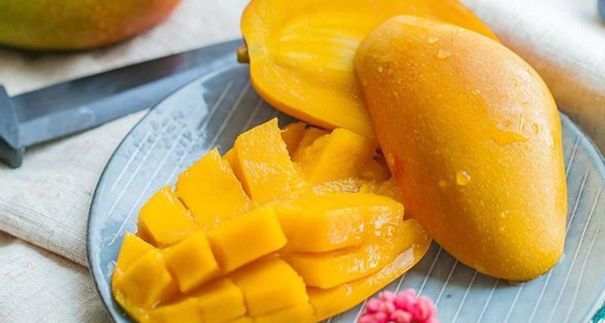 Sultan Banget! Rahasia 4 Mangga Yang Harganya Puluhan Juta