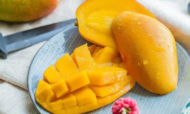 Sultan Banget! Rahasia 4 Mangga Yang Harganya Puluhan Juta