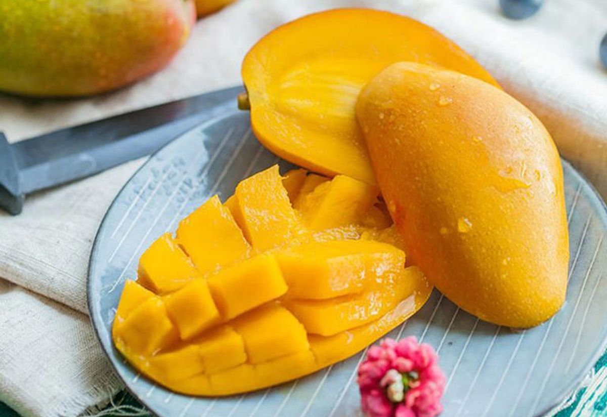 Sultan Banget! Rahasia 4 Mangga Yang Harganya Puluhan Juta